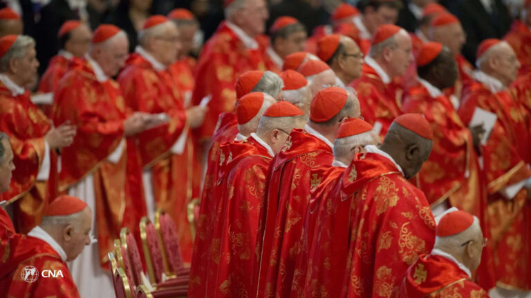 Cardinals at the Missa pro eligendo Pontifice ahead of the 2013 conclave.: via CNA